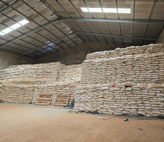 Burkina Faso : le gouvernement suspend « jusqu’à nouvel ordre » l’importation du riz
