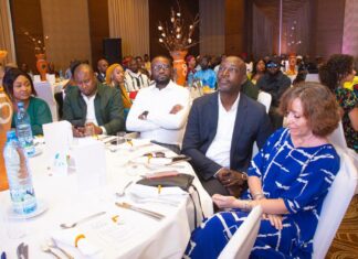 Mali/SEGINSO : un réseau de jeunes Maliens s’engage pour un retour à la source