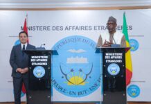 Le récap’ Sahel du 06 au 10 avril 2026