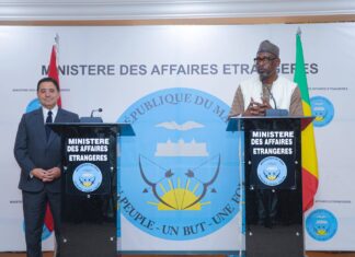 Le récap’ Sahel du 06 au 10 avril 2026