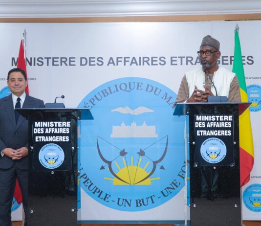 Le récap’ Sahel du 06 au 10 avril 2026