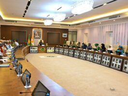 Au Niger, le gouvernement élargit sa liste noire : deux nouvelles déchéances de nationalité