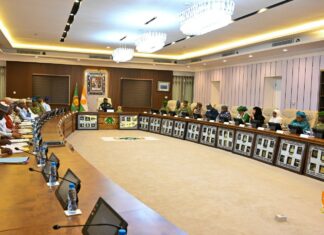 Au Niger, le gouvernement élargit sa liste noire : deux nouvelles déchéances de nationalité