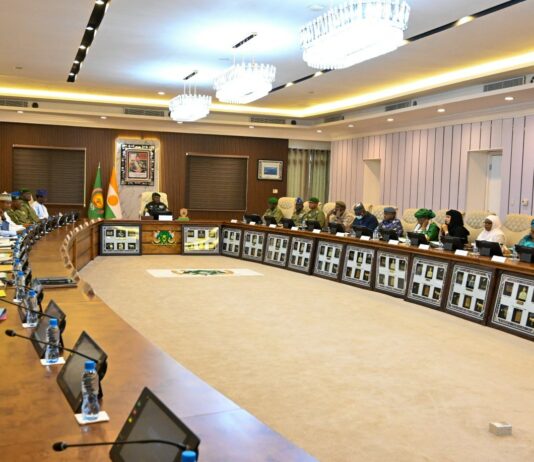 Au Niger, le gouvernement élargit sa liste noire : deux nouvelles déchéances de nationalité