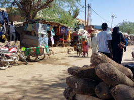 Le récap’ Sahel du 13 au 17 avril 2026