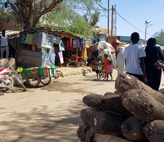 Le récap’ Sahel du 13 au 17 avril 2026