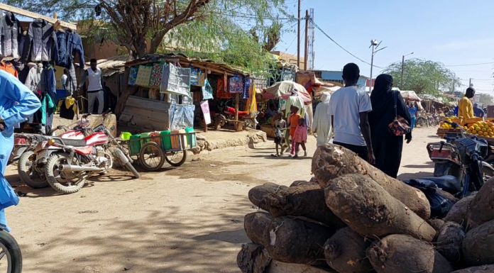 Le récap’ Sahel du 13 au 17 avril 2026