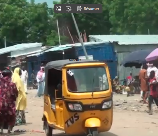 Niger : sept Tchadiens enlevés par Boko Haram dans la région de Diffa, un otage tué