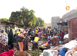 Mali : le défi de l’inclusion financière