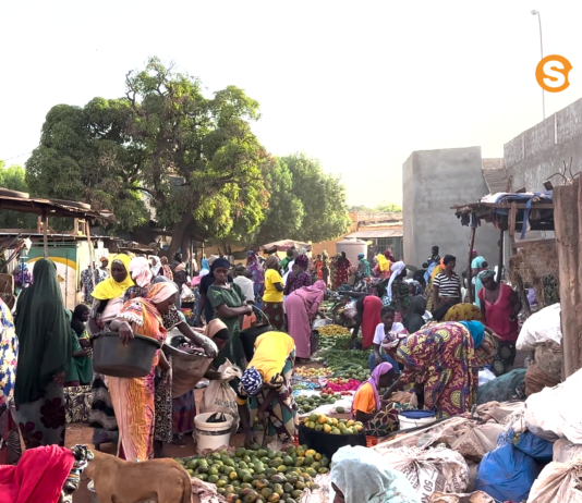 Mali : le défi de l’inclusion financière