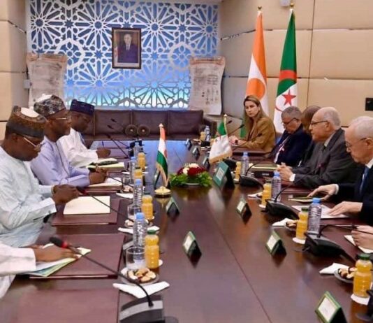 Coopération : Niamey et Alger font le point