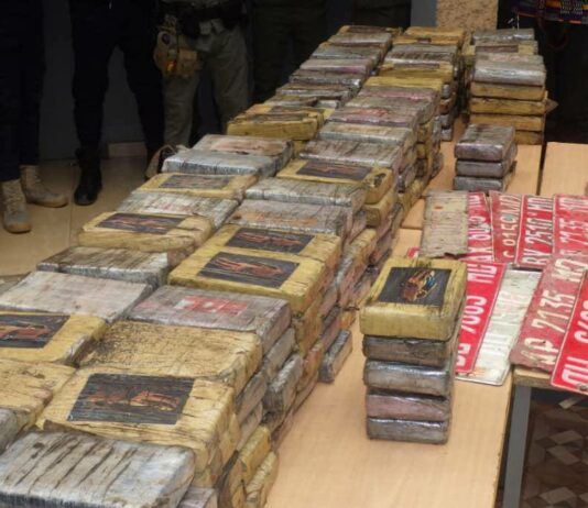 Niger : saisie record de plus de 268 kg de cocaïne à Zinder