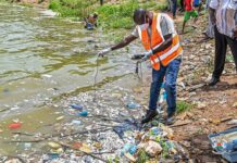 Ouagadougou : une importante mortalité de poissons constatée au barrage n°3