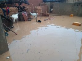 Niger : 4 blessés et près de 500 personnes touchées par les premières pluies de 2026