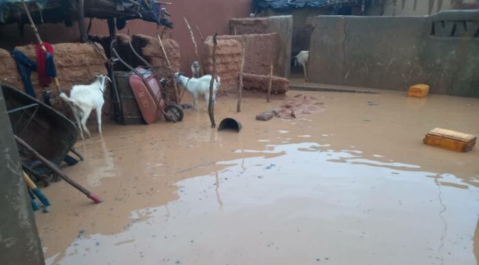 Niger : 4 blessés et près de 500 personnes touchées par les premières pluies de 2026