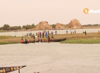 Mali : à Ansongo, le poisson nourrit les familles, crée des emplois et franchit les frontières