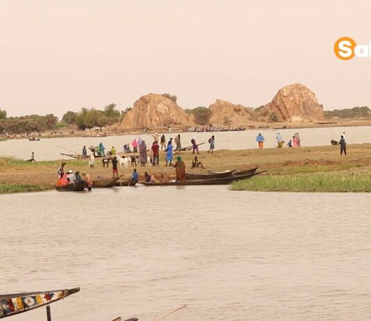 Mali : à Ansongo, le poisson nourrit les familles, crée des emplois et franchit les frontières