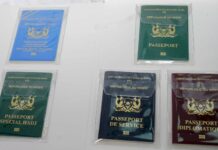 Niger : découvrez les cinq catégories de passeports biométriques