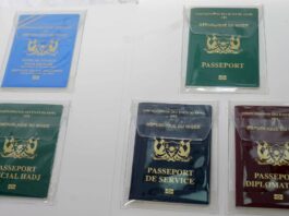 Niger : découvrez les cinq catégories de passeports biométriques