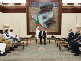Coopération : visite du Premier ministre malien en Algérie