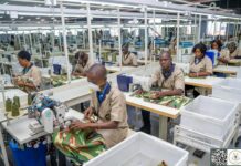 Industrie textile : le Burkina mise sur la transformation locale du coton avec TEXFORCES-BF
