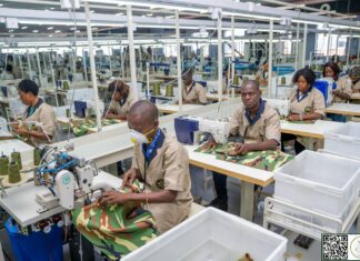 Industrie textile : le Burkina mise sur la transformation locale du coton avec TEXFORCES-BF