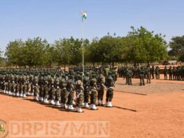 Niger : des changements à la tête des Forces armées