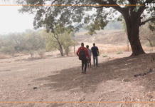 Le récap Sahel du 31 août au 4 septembre 2026