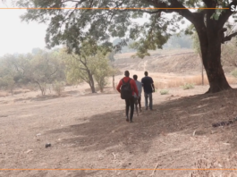 Le récap Sahel du 31 août au 4 septembre 2026