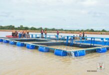 Burkina Faso/Barrage de Pô : pisciculture et nouvelles perspectives