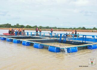 Burkina Faso/Barrage de Pô : pisciculture et nouvelles perspectives