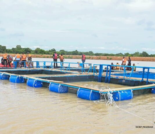 Burkina Faso/Barrage de Pô : pisciculture et nouvelles perspectives