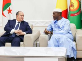 Mali-Algérie : le Gal Abdoulaye Maïga rappelle la nécessité de renforcer la coopération