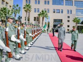 Niger : Alger approuve l’envoi de militaires