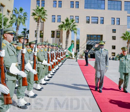 Niger : Alger approuve l’envoi de militaires